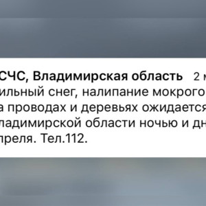 МЧС предупредило жителей Владимирской области о сильном снегопаде 9 апреля