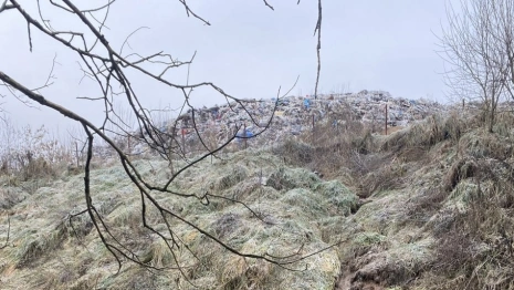 Жители Камешковского района испугались расширения Марьинского мусорного полигона