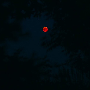 В небе над Владимиром взошла кровавая Луна