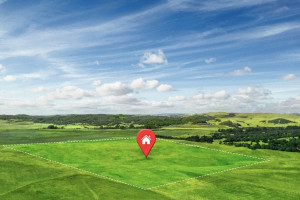 Во Владимире председатель СНТ обманул мэрию ради получения земли