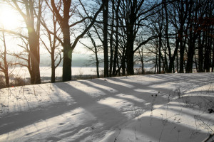 Во Владимирской области январь закончится плюсовой температурой