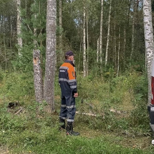 Владимирские спасатели вывели двух заблудившихся женщин из леса