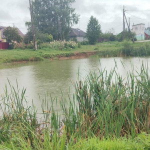 В Юрьев-Польском на глазах у матери утонул 9-летний мальчик