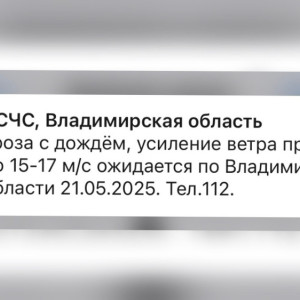 МЧС предупредило жителей Владимирской области о дожде с грозой и сильном ветре
