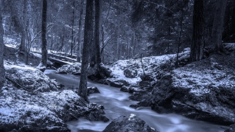 У найденного мертвым в Калининграде гусевчанина остались двое детей 