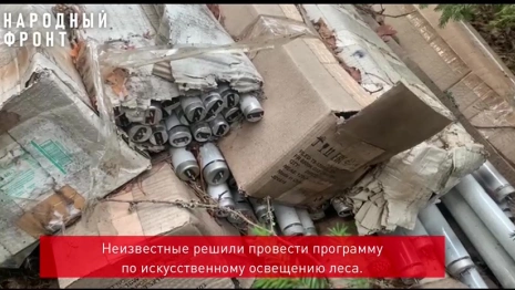 Во Владимирской области в лесу нашли свалку ртутных ламп