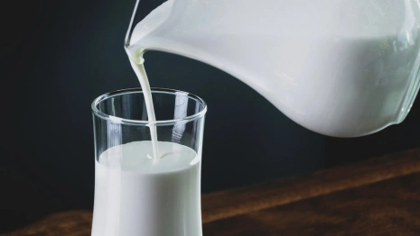 Во Владимирской области в 4,5% пробах молока нашли кишечную палочку