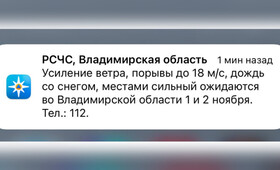 МЧС предупредило жителей Владимирской области о мощном урагане и мокром снеге