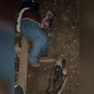 Появилось видео с места падения пожилого мужчины в канаву в Коврове