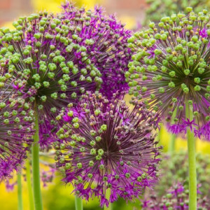 Первая неделя апреля во Владимирской области будет по-настоящему весенней