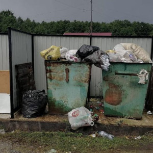 В Селивановском районе контейнерные площадки превратились в стихийные свалки