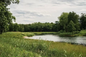 В Вязниковском районе стоки сбрасывали в реку