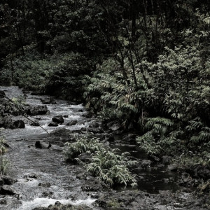 Пропавшую в Муроме женщину в розовых тапках нашли мертвой