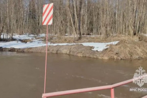 Весеннее половодье во Владимирской области началось с Александровского района
