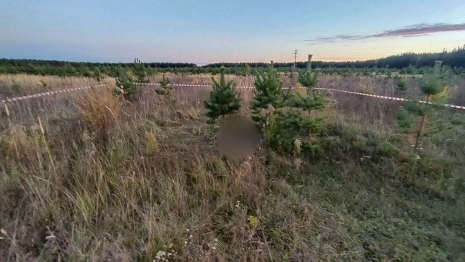 Пропавшую 43-летнюю жительницу Камешковского района убили