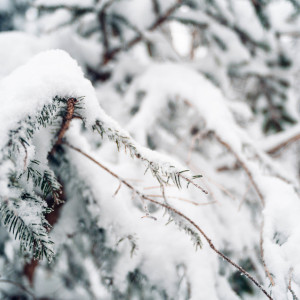 Прогноз погоды во Владимирской области на 24 февраля