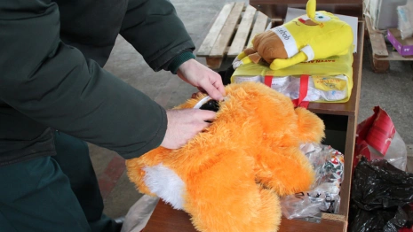 Владимирские таможенники нашли насвай внутри мягкой игрушки