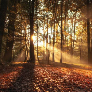 Начало рабочей недели порадует владимирцев теплом