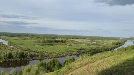 Во Владимирской области июнь начнется с дождей
