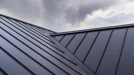 В Муроме провалились поиски подрядчика на ремонт крыши женской гимназии