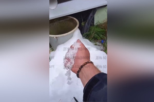 Во Владимирской области выпал первый снег: появилось видео