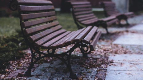 Во Владимирской области вандалы устроили погром в парке