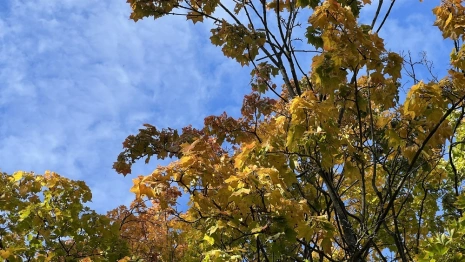 Прогноз погоды во Владимирской области на 23 сентября