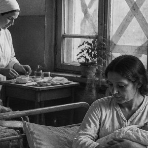 В День Победы в 1945 году во Владимирской области родились 55 детей