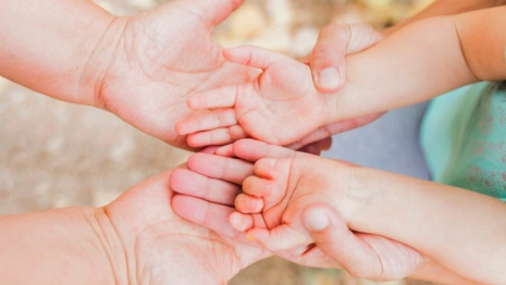 Во Владимирской области поддержку оказали более 19 тысячам членам семей участников СВО