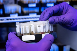 Во Владимире больница накопила долги по 74 контрактам