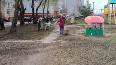 Во Владимире проходит общегородской субботник