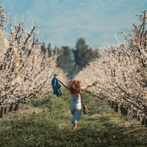 Когда во Владимирскую область придет майское тепло?