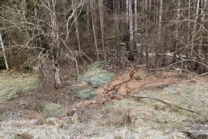 В Камешковском районе свалка загрязняла почву