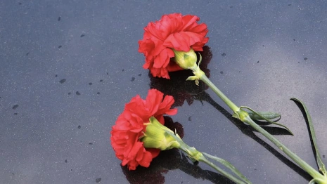 Крупный город Владимирской области остался без ветеранов войны