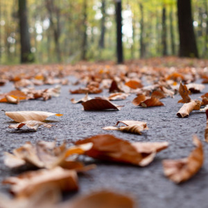 Прогноз погоды во Владимирской области 5 сентября