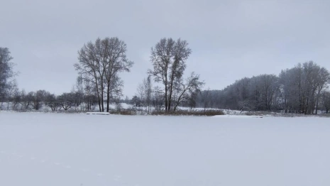 В Суздале снесли незаконно возведенную базу отдыха на берегу озера