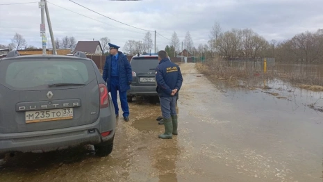 В Петушинском районе затопило деревню Аббакумово
