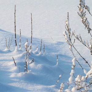 Прогноз погоды во Владимирской области на 7 января