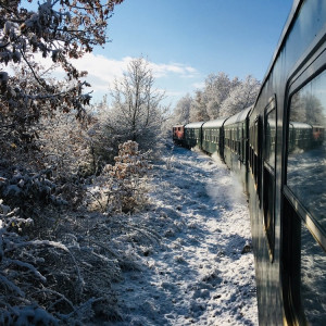Во Владимирской области штраф для зацеперов вырос в 40 раз