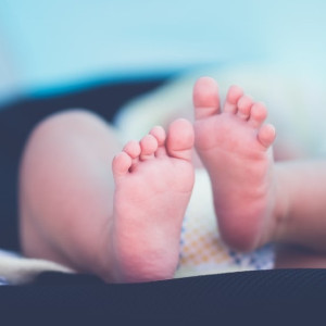 Во Владимире на подготовку предпроекта нового перинатального центра выделят 1,6 млн 