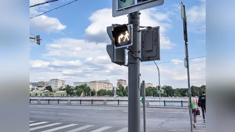 Во Владимирской области могут поставить светофоры с необычной секцией