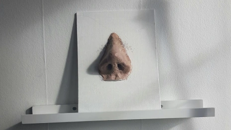 В Вязниках 20-летний парень откусил нос мужчине в ходе ссоры