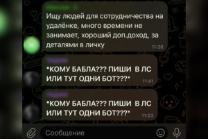 За неделю IT-мошенники «заработали» на жителях Владимирской области 40 млн рублей
