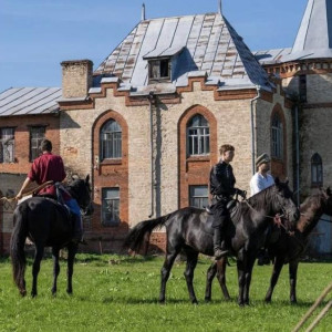 Во Владимирской области назвали самую красивую деревню 2025 года