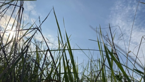 41 день Великого поста: что можно и нельзя 27 апреля 2024 года