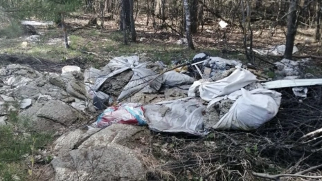 Огромную стихийную свалку в Петушинском районе ликвидируют