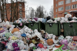 В Кольчугино 30 мусорных площадок оказались завалены отходами