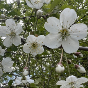 Во Владимирской области пообещали жару