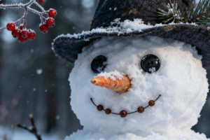 Прогноз погоды на 8 января 2026 года во Владимире и области