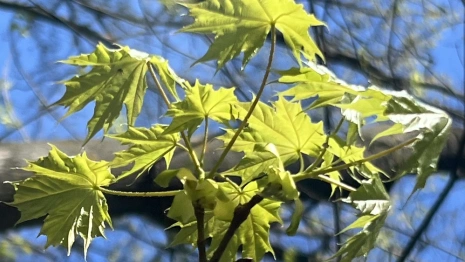 Во Владимирской области потеплеет до 23 градусов